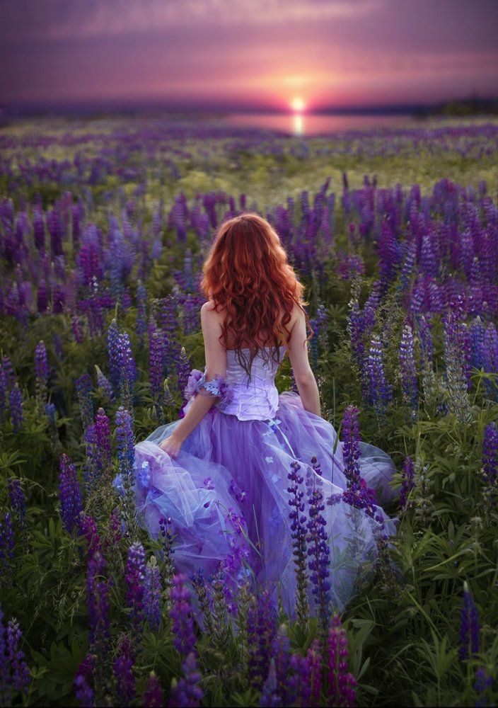 на встречу рассвету