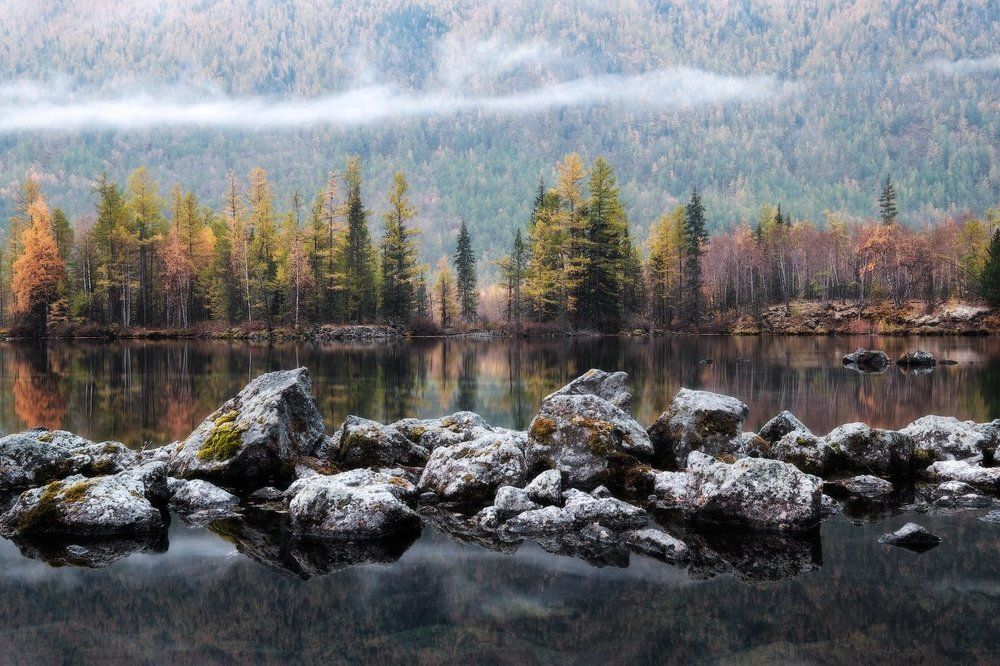 Отражение утреннего тумана