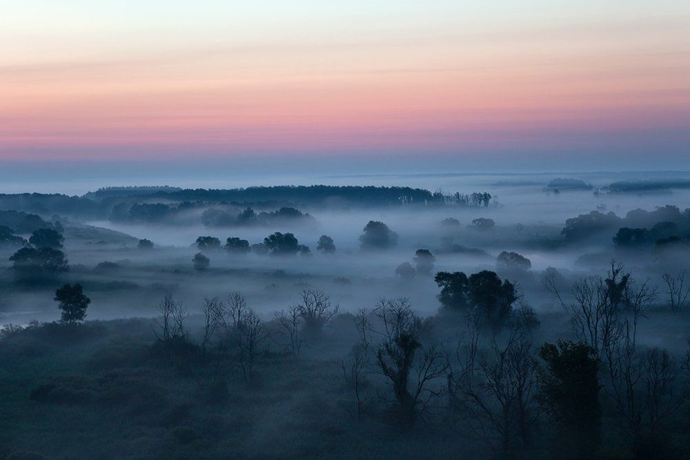 Туманные сумерки.