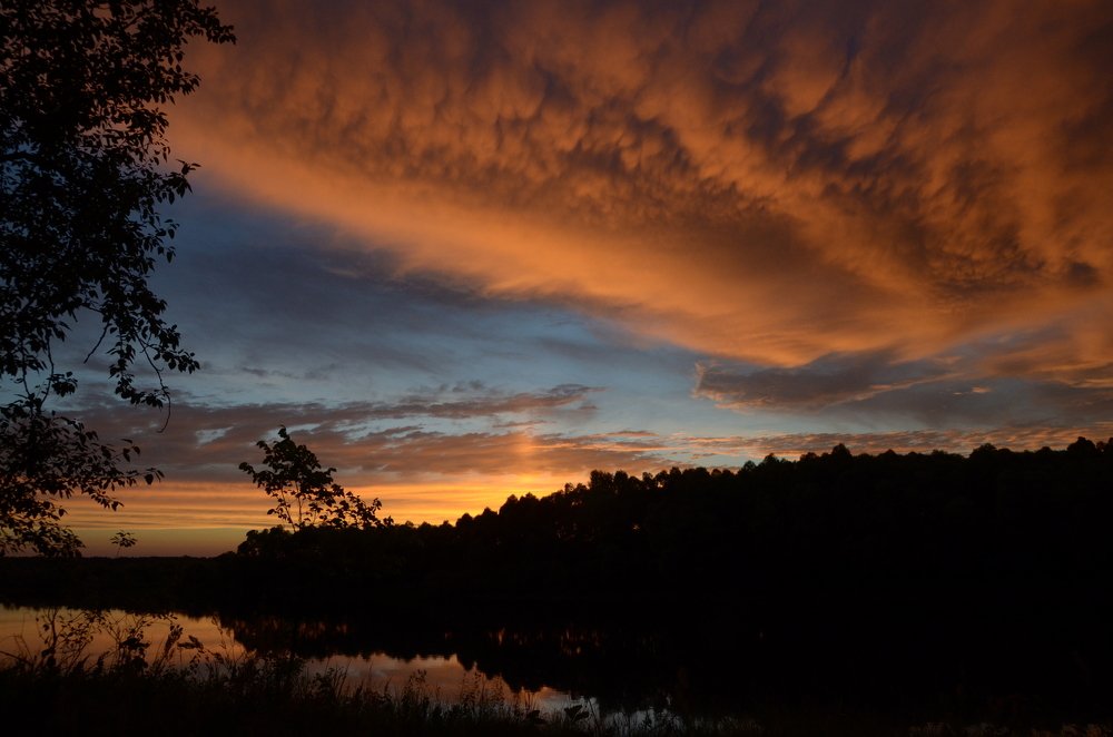 Последние лучи. Река Десна.