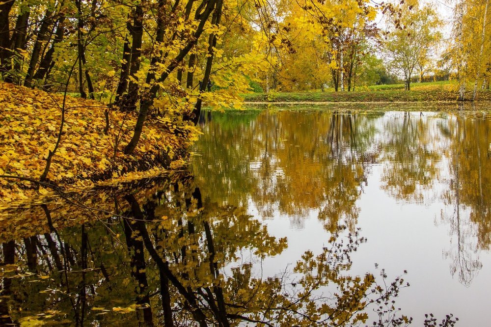 Золотой парк