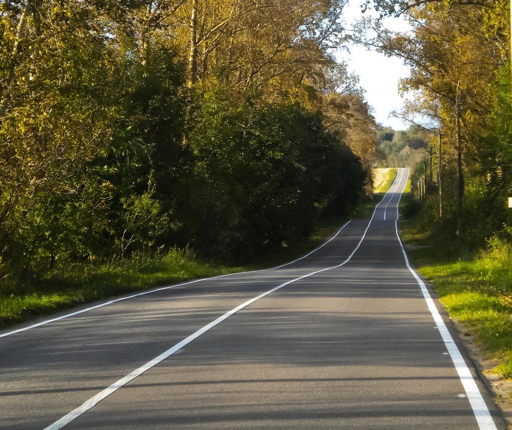 Загородная дорога