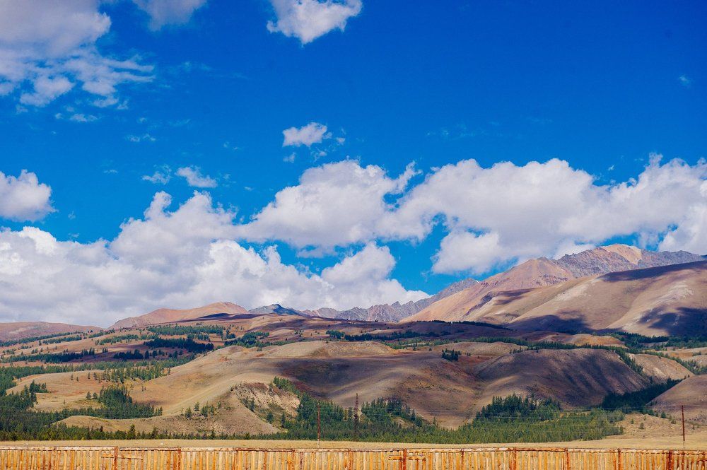 Алтайские горы