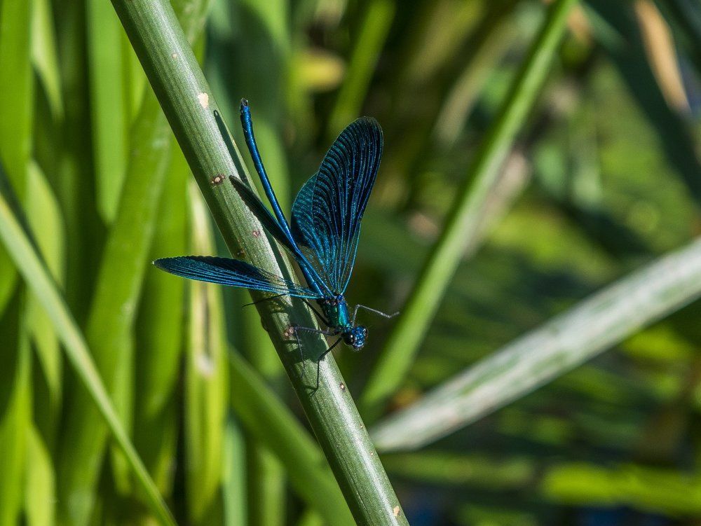 Делаем утреннюю зарядку
