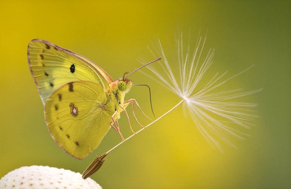 Иллюзия постоянства