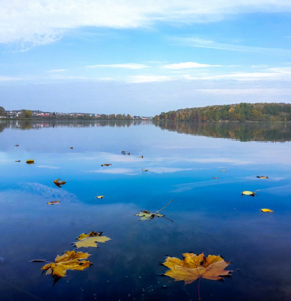 Городское озеро осенью