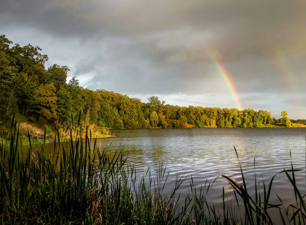 После дождя