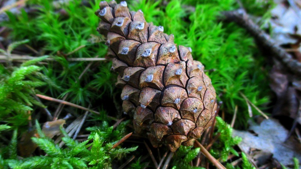 Photograph by Михалевич Машка