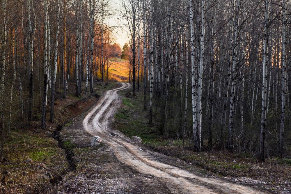 Русский Север