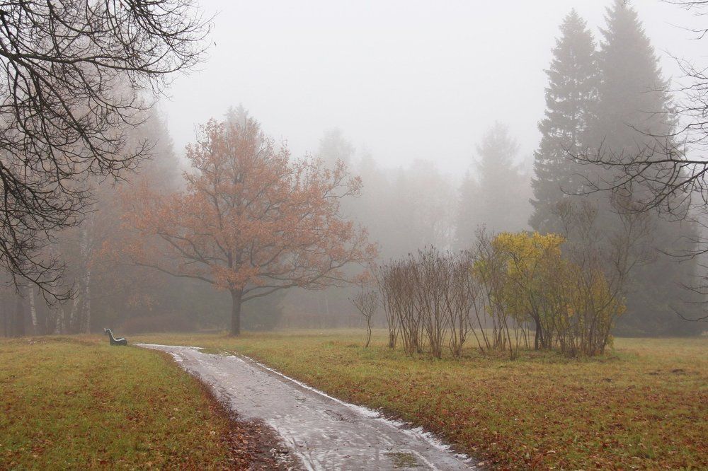 Photograph by Марина