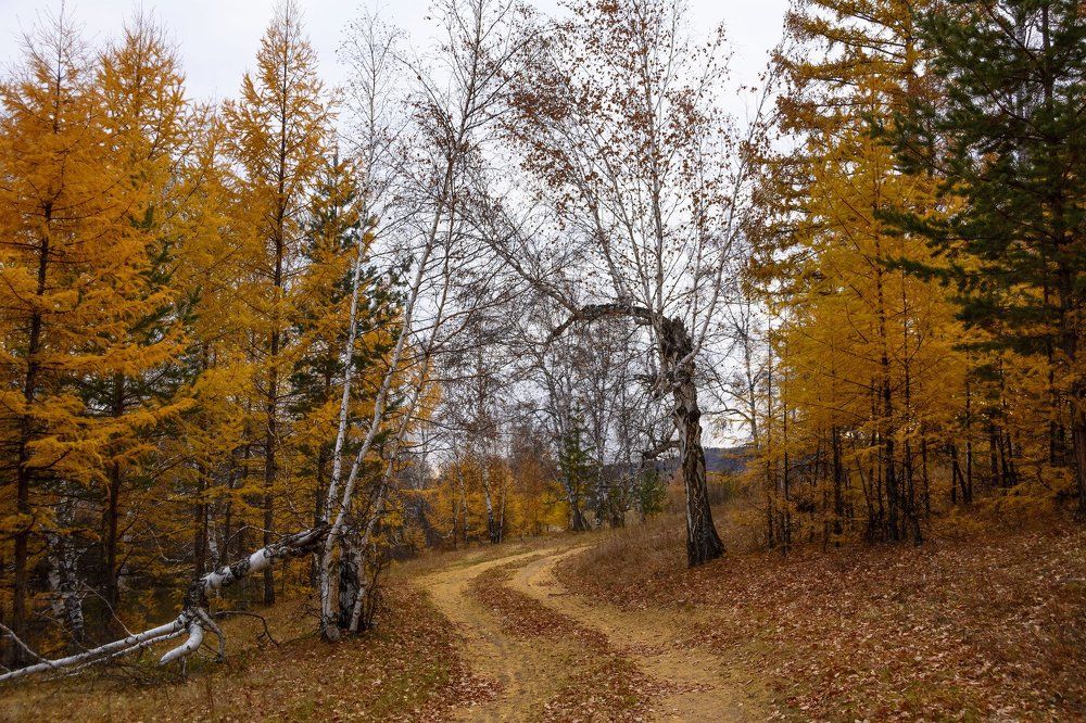 Ворота в осень