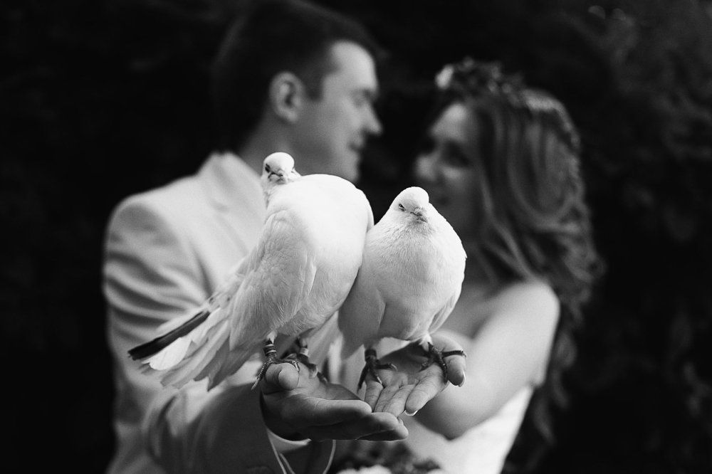 Photograph by Olga Rogovaya