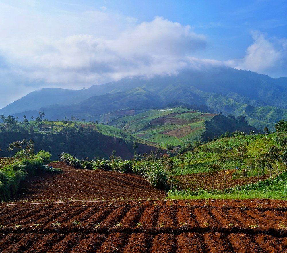 The terace of Dieng