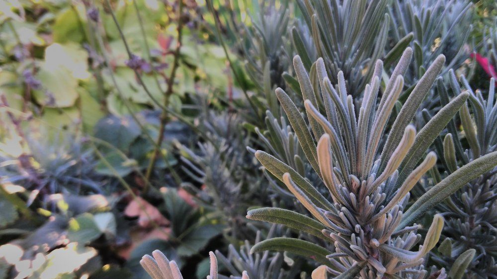 Photograph by Штогрин Антон