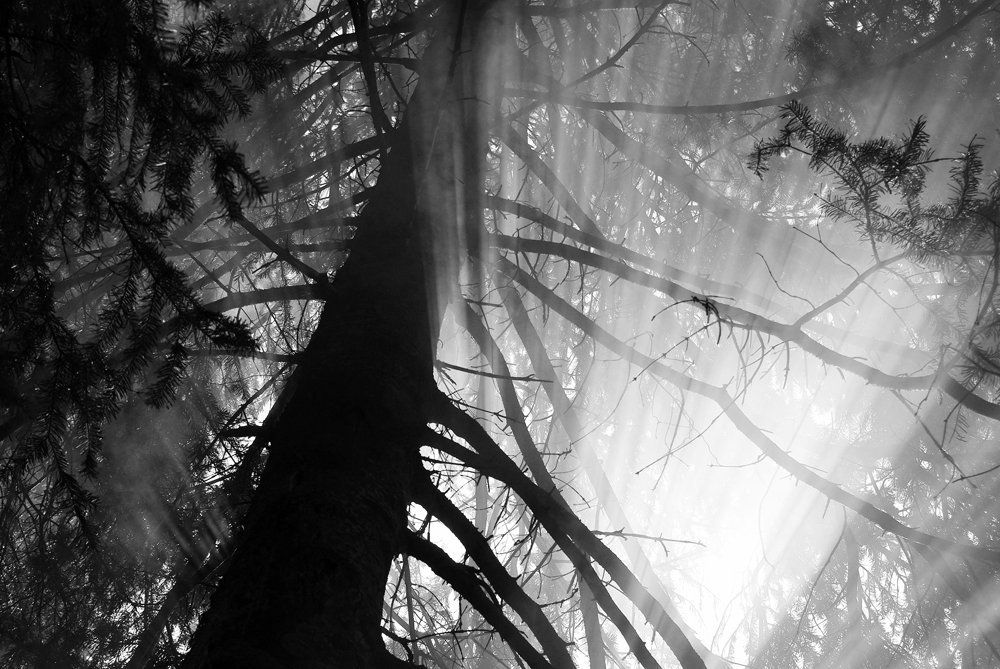 Феерия света