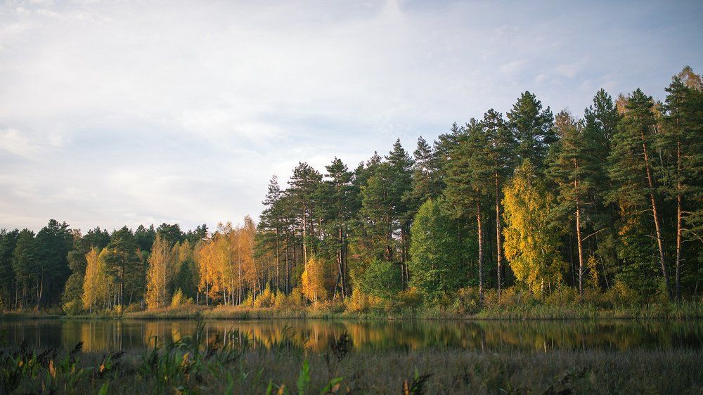 Полесье осенью