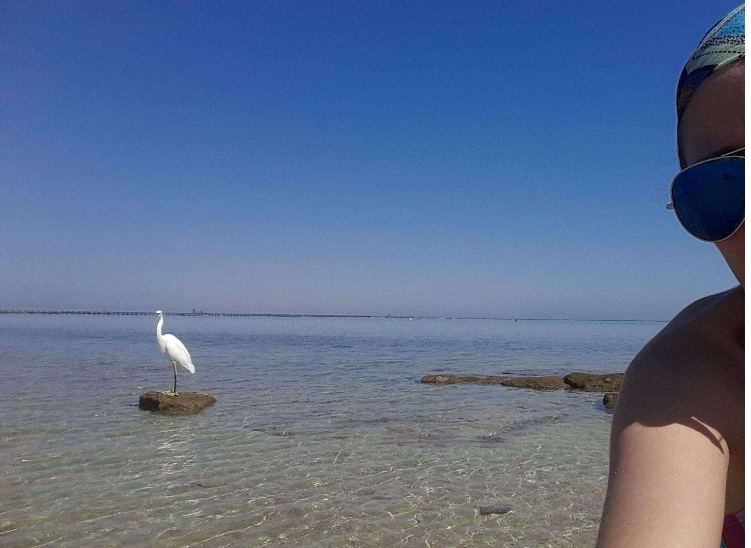 Photo #1475461