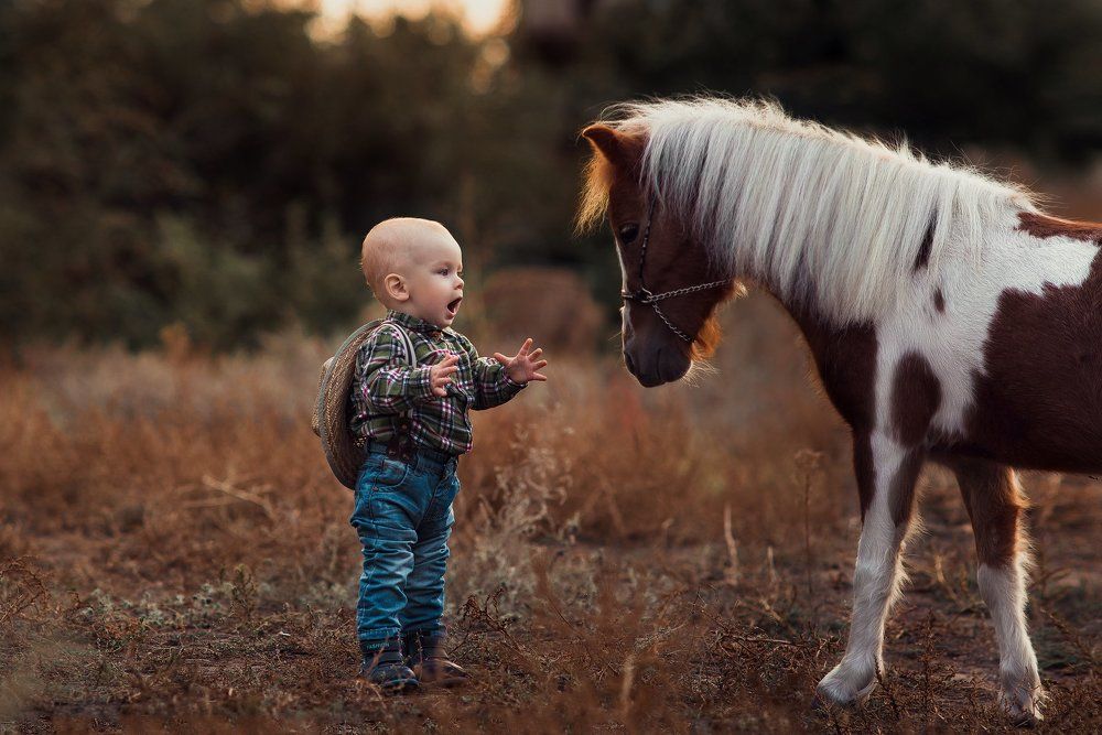 Ковбоями рождаются