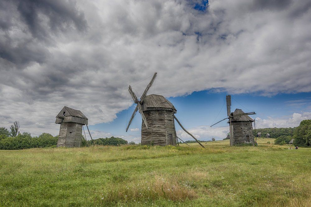 Windmills in field