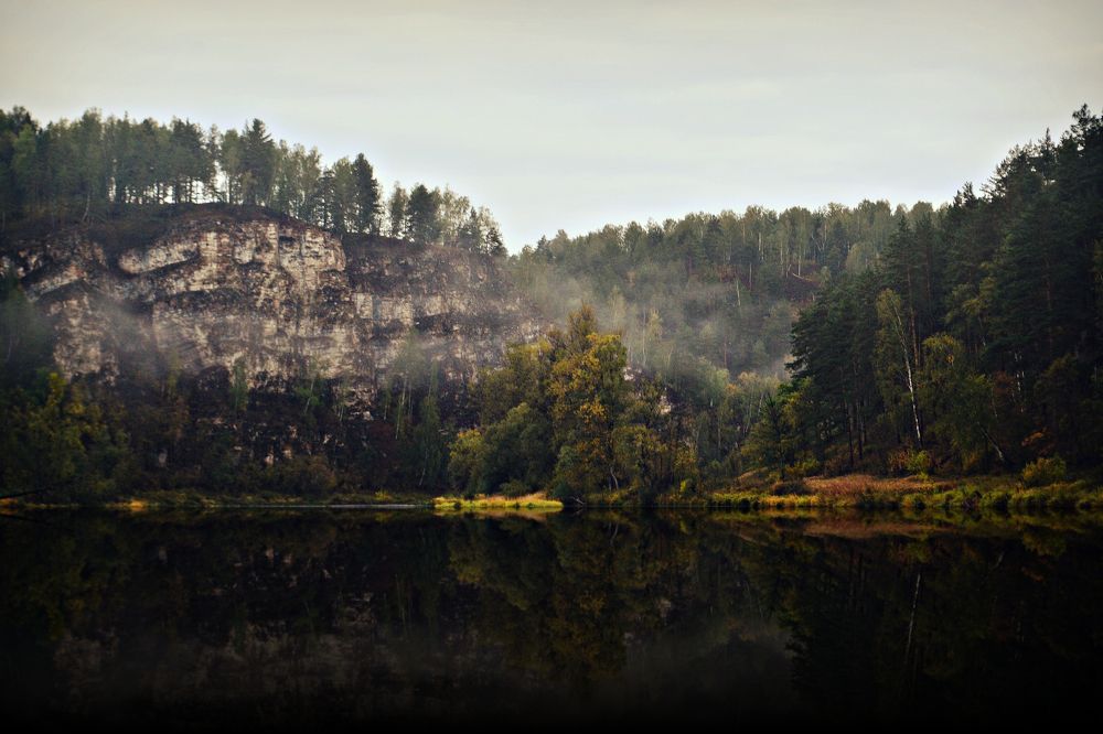 Утро туманное