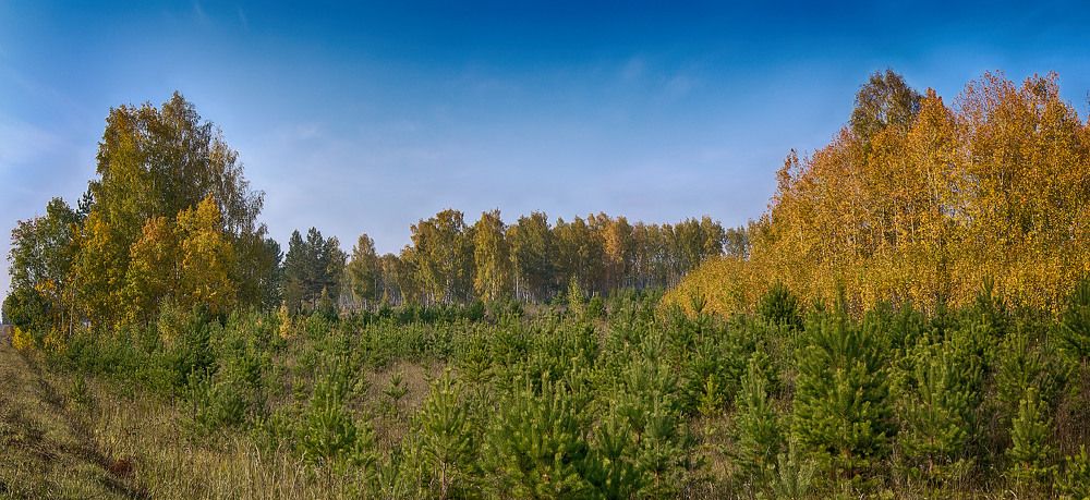 Осенний контраст