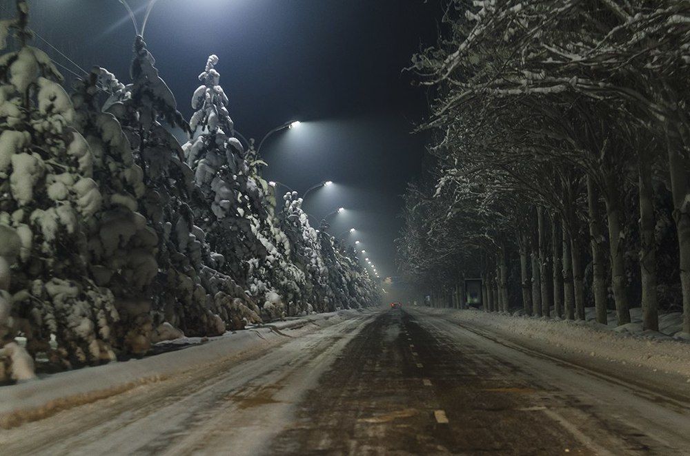 Photograph by Alexey Kurtov