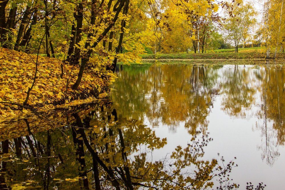 Золотой парк