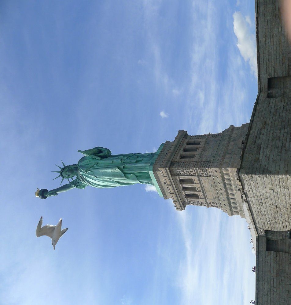 Liberty-Birds view