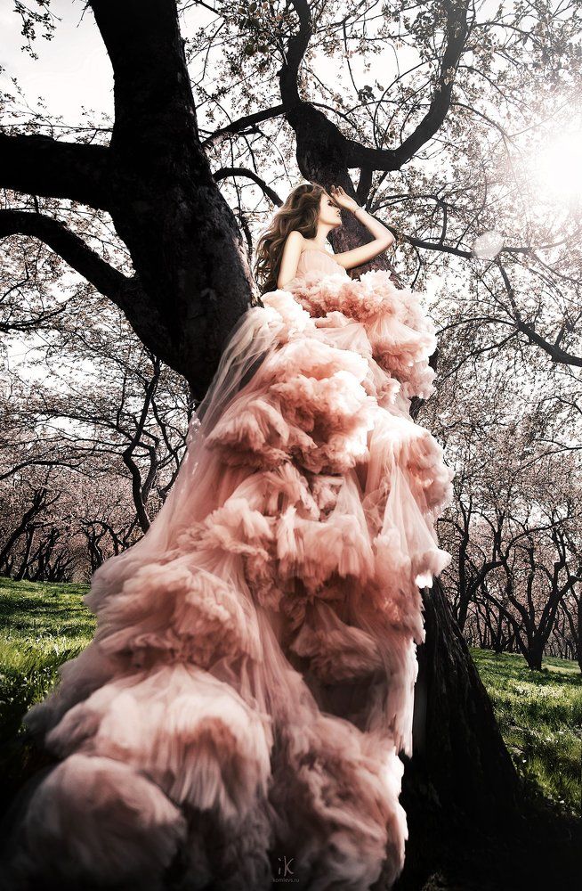 Photograph by Комлева Ирина