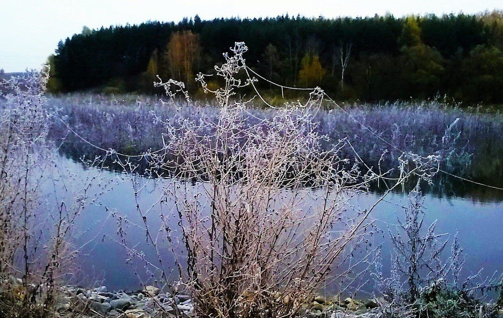 Кружево первого зазимка