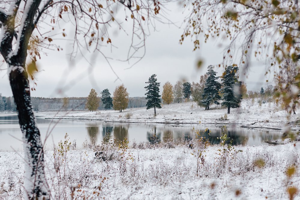 Первый снег