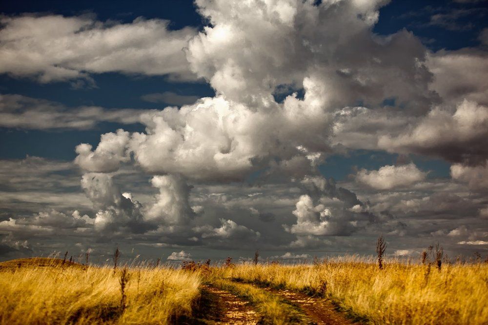 Дорога в облака