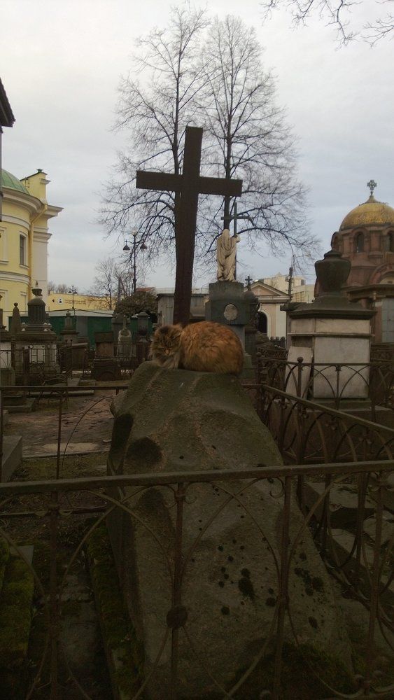 Душа бессмертна