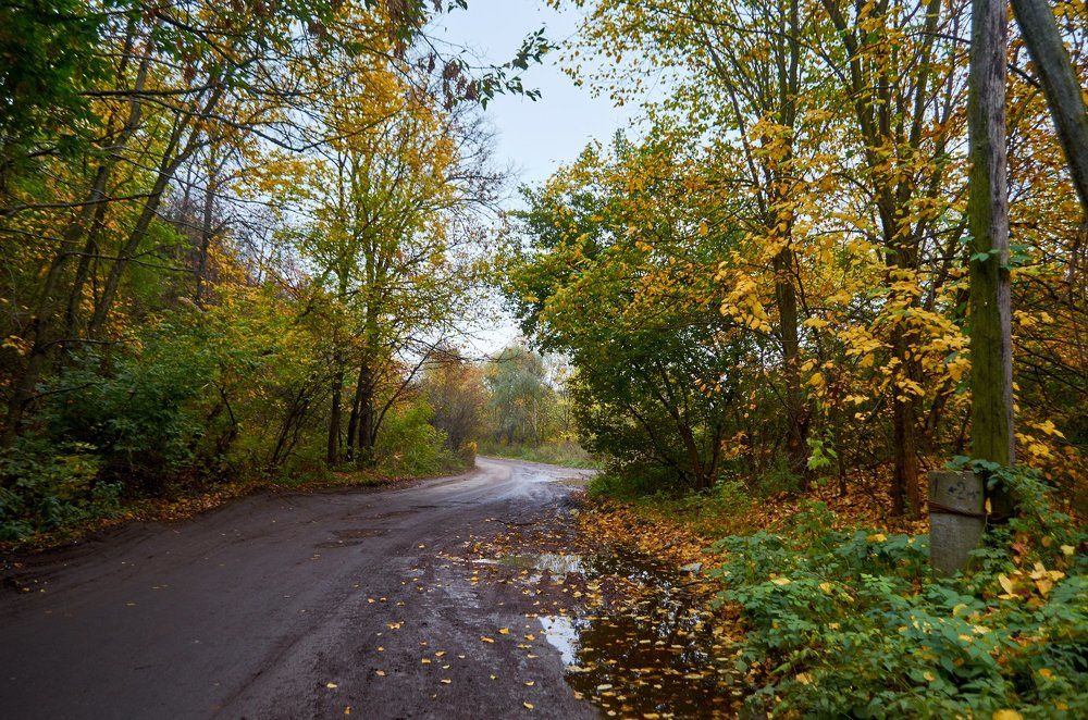 Осенняя дорога