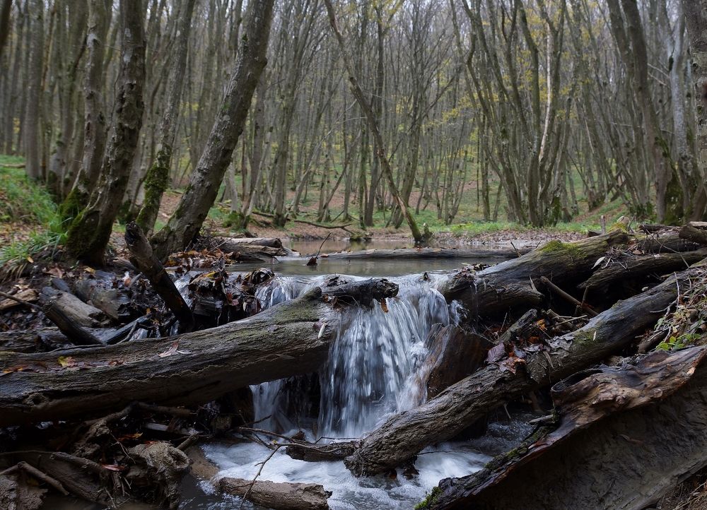 Осенняя Ташла