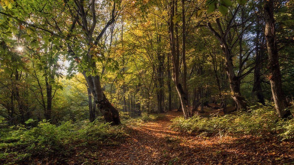 Кавказская осень