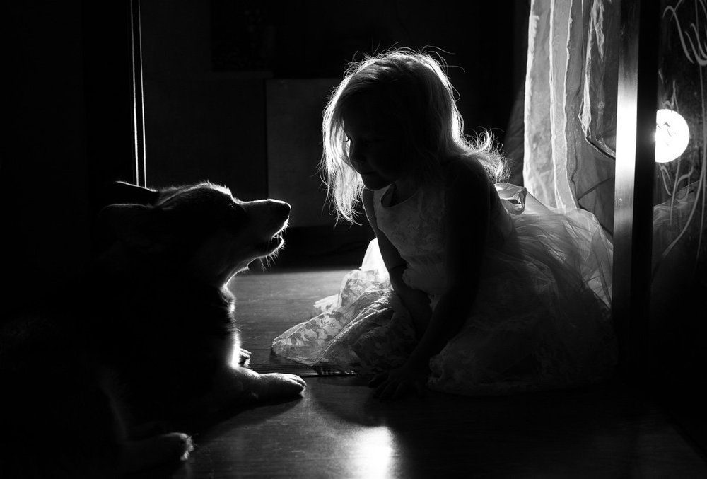 Photograph by Павлова Анастасия