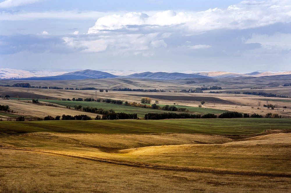 Вечерние степи