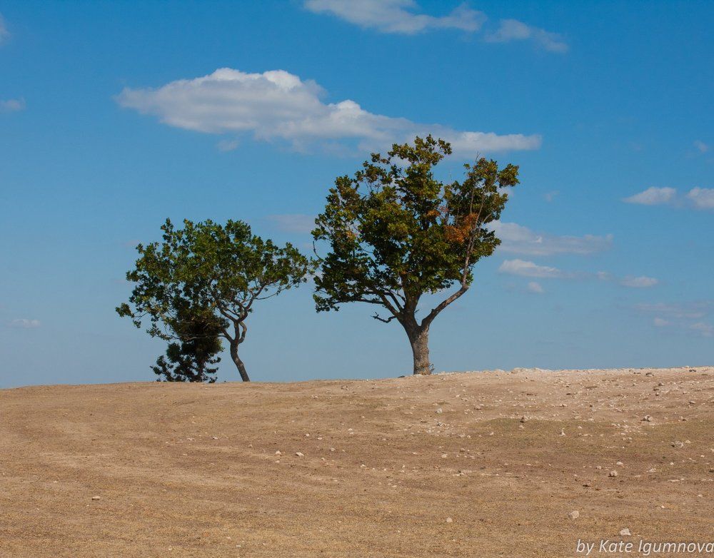 Крымские думы