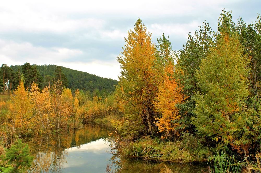 В осенний день.