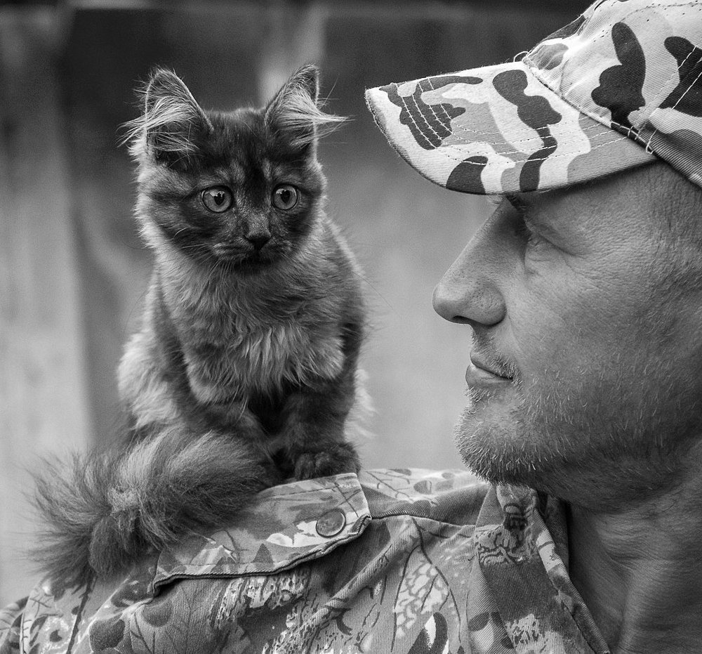 Дневной дозор