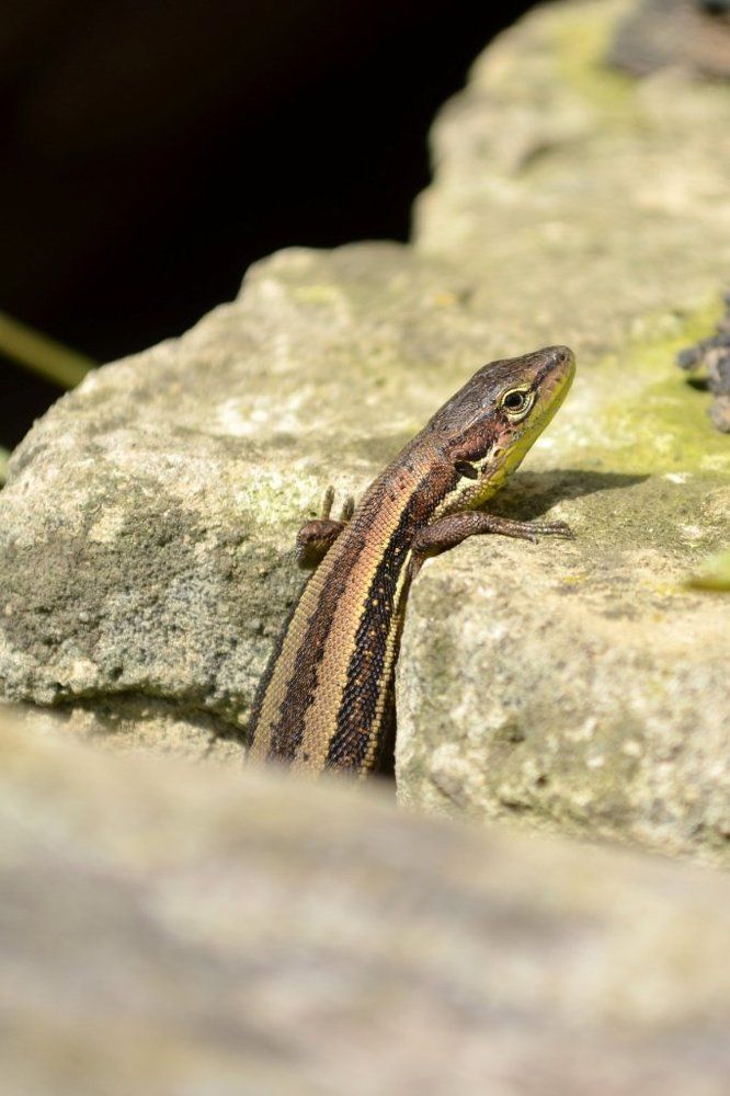 Photograph by Анастасия