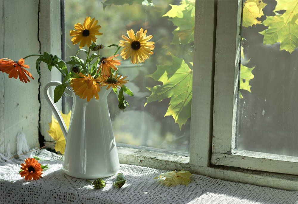 В лучах осеннего солнца...