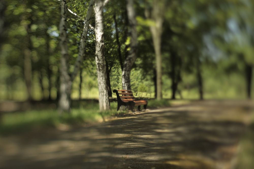 Photograph by Ирина