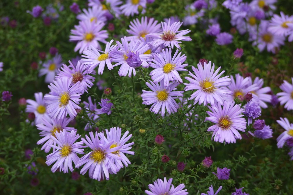 Photograph by Тим Талер