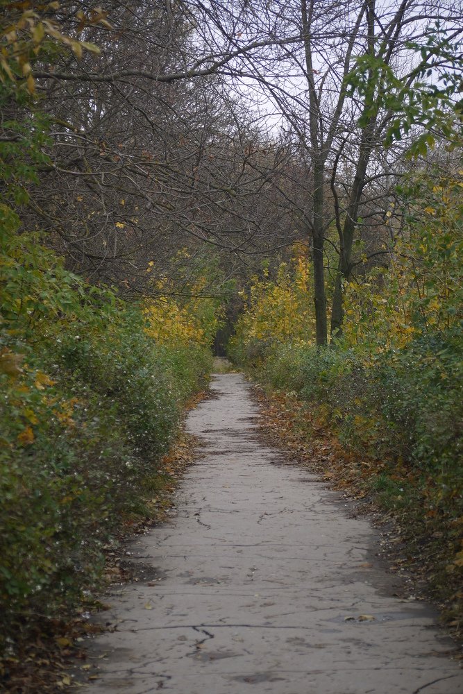 Photograph by Тим Талер