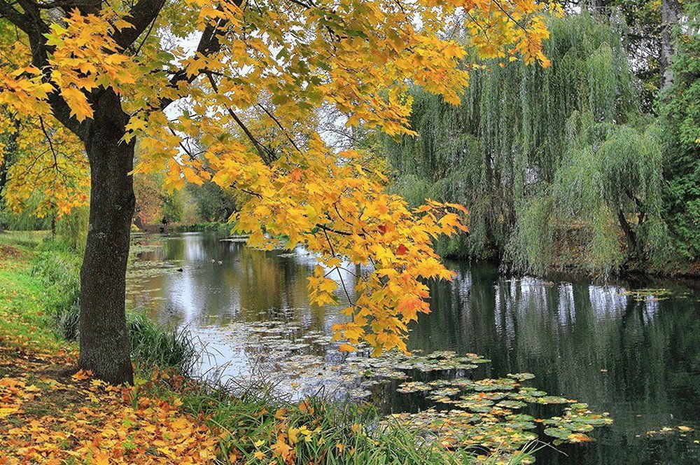 Прекрасная пора