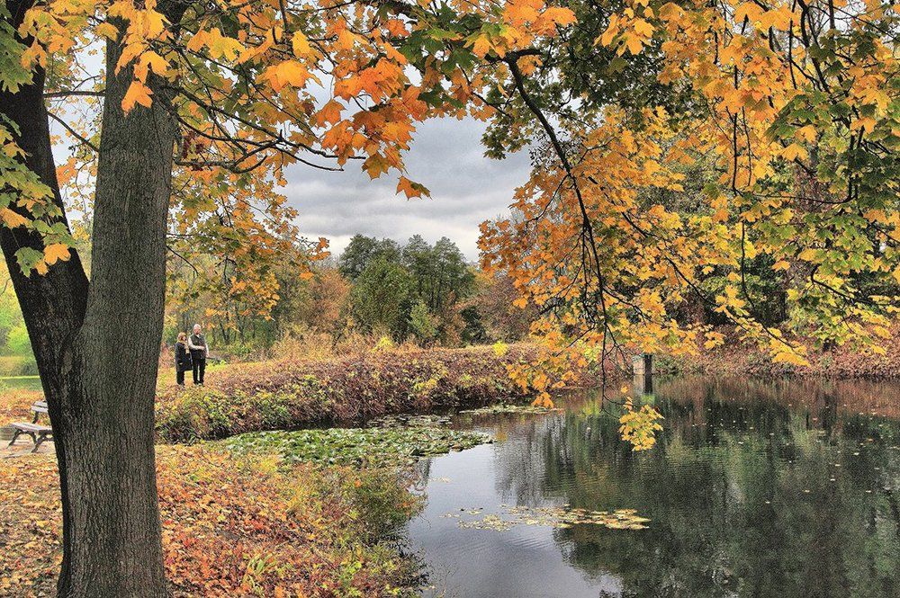Осень жизни, как и осень года надо благодарно принимать...