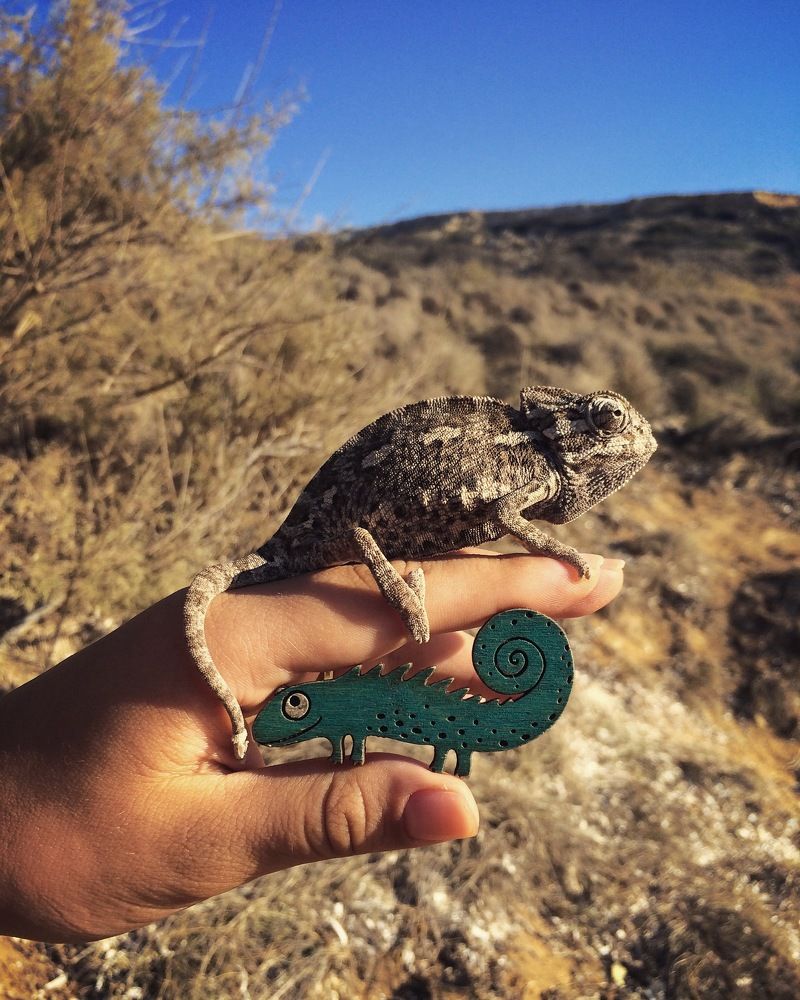 Photograph by Ксения