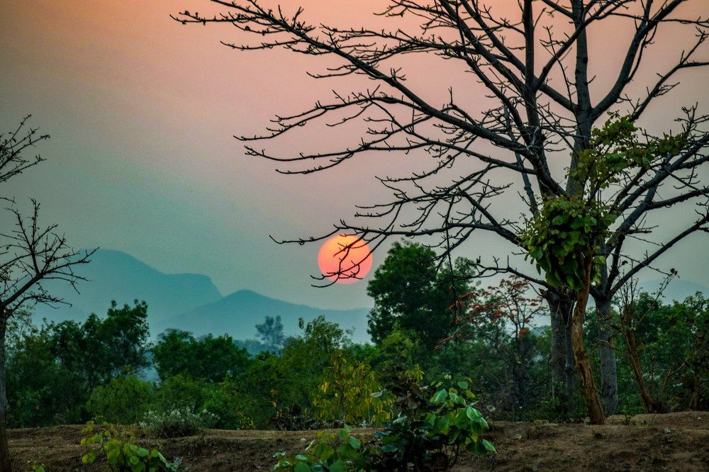 Hanging Sun